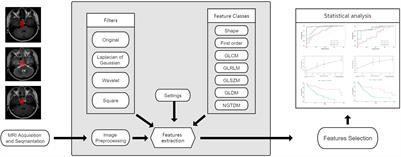 Development and validation of a preoperative MRI-based radiomics nomogram to predict progression-free survival in patients with clival chordomas